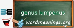 WordMeaning blackboard for genus lumpenus